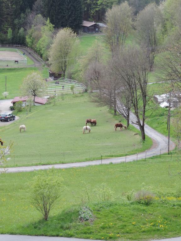 Ferienwohnung Waldoase Am Fuchsenstein Spiegelau Eksteriør billede